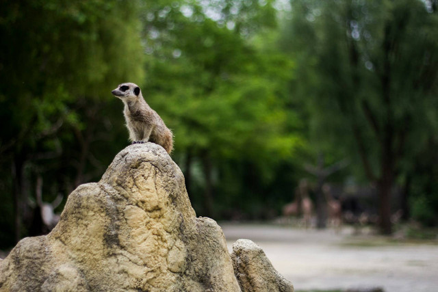 Tempat Wisata di Solo dan Harga Tiket Masuk. Foto hanya ilustrasi, bukan tempat sebenarnya. Sumber: Unsplash/Anton Shcherbakov