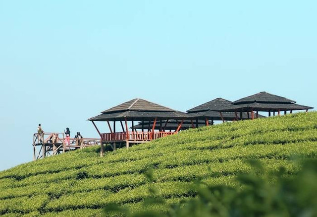 Puncak Belendung Goalpara. Foto hanyalah ilustrasi bukan tempat sebenarnya. Sumber: Unsplash/zaki muhamad