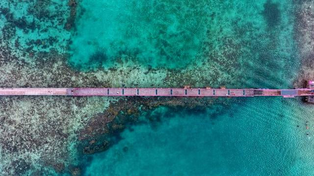 Spot diving di Pulau Jawa. Foto hanyalah ilustrasi. Sumber: Unsplash/Eggy Febryano