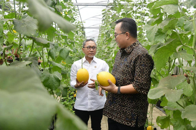 Kunjungan Menko Pangan, Rektor IPB: Investasi Benih Harus Jadi Prioritas Negara