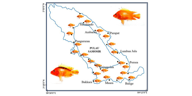 Dosen Pulang Kampung IPB Teliti Distribusi Populasi Ikan Invasif Red Devil