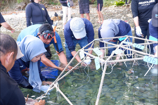 PNM bersama anak muda di Ambon melakukan konservasi terumbu karang dalam memperingati Hari Sumpah Pemuda di Pantai Wisata Morella, Maluku. Foto: Dok. PNM