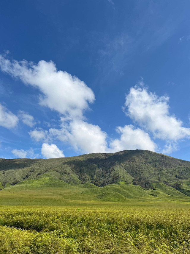 Salah Satu Spot Foto di Gunung Bromo (Sumber Gambar: Dokumen Pribadi)