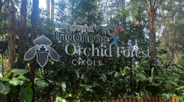 Orchid Forest Cikole. Sumber Foto : Oleh Penulis