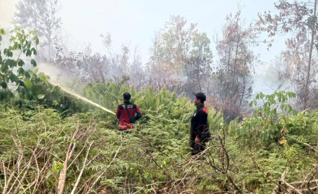 Petugas berupaya memadamkan api yang mendekati permukiman warga di Desa Galang Mempawah. Foto: M. Zain/Hi!Pontianak