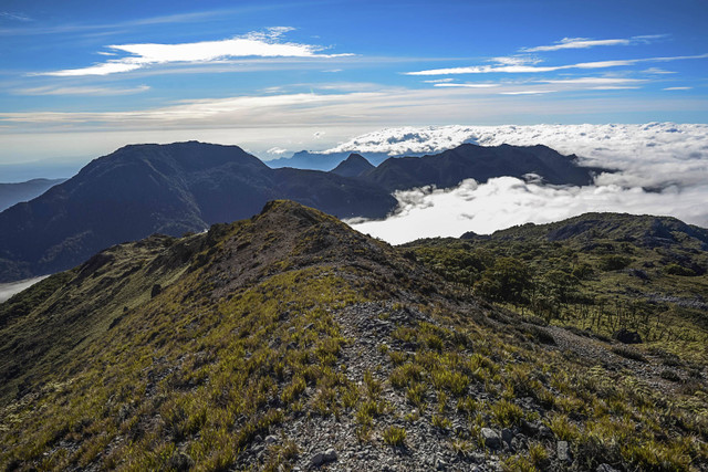 Gunung Binaiya di Maluku. Foto: SoePhoto/Shutterstock