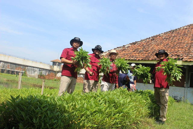 Lapas Pekalongan Dukung Program Presiden dan Menteri, Berdayakan Warga Binaan untuk Ketahanan Pangan Nasional