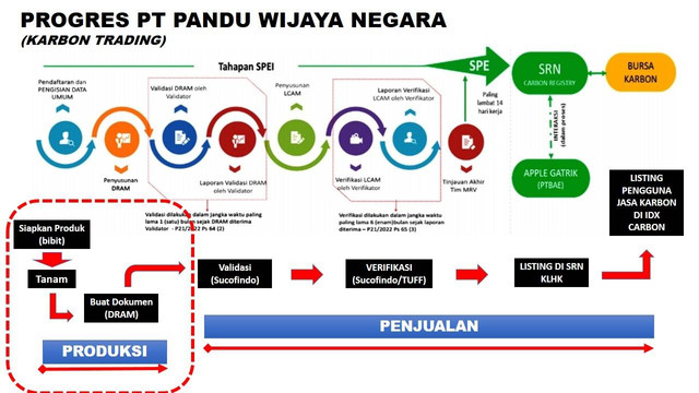 foto koleksi pribadi. PT Pandu Wijaya Negara, produksi bibit nyamplung, menanam nyamplung, mensertifikasi karbonkan dan menjualnya di bursa karbon,