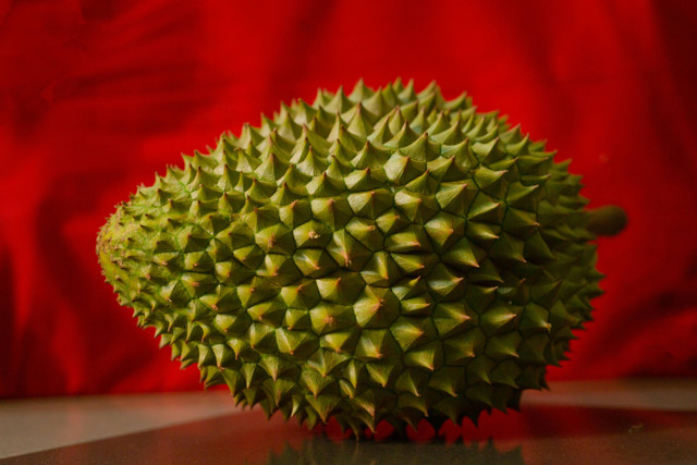 Ilustrasi Cara Menanam Durian dalam Pot agar Cepat Berbuah, Foto: Pexels/HONG SON