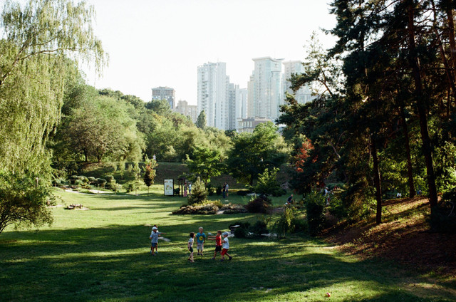 [Taman Persahabatan Korea] Foto hanya ilustrasi, bukan tempat sebenarnya. Sumber: unsplash/Rad Pozniakov