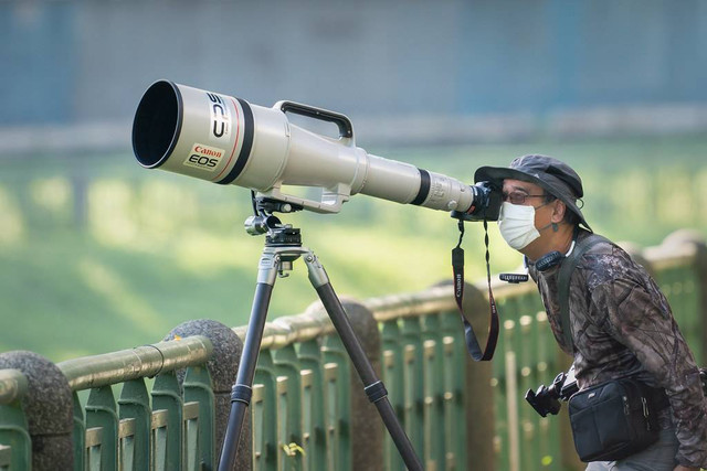 Ilustrasi lensa kamera termahal, Canon EF 1200mm f/5.6 L USM. Foto: Canon 