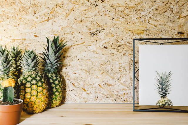 Ilustrasi cara menanam nanas madu dalam pot. Foto: Pexels.com/Pineapple Supply Co.