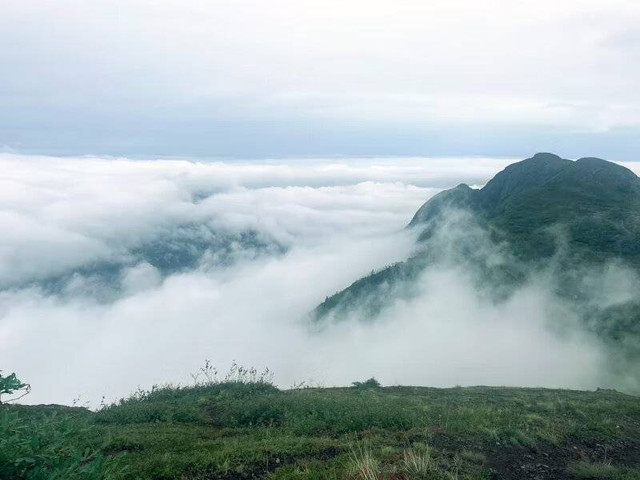 Jalur Pendakian Gunung Ungaran Apa Saja. Foto hanya ilustrasi, bukan tempat yang sebenarnya. Sumber: Unsplash/Brianna Marble