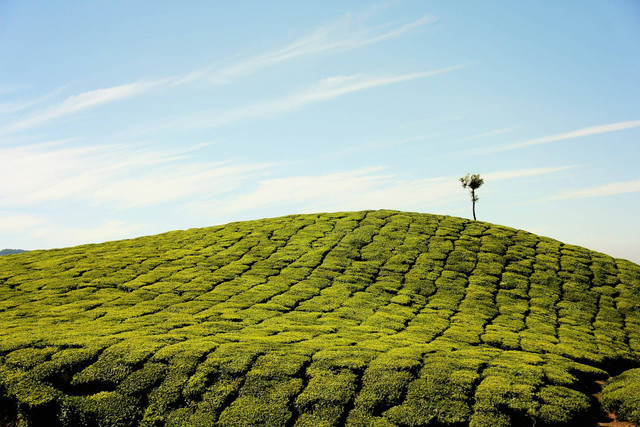 Rest Area Gunung Mas. Foto hanya ilustrasi bukan tempat sebenarnya. Sumber foto: Unsplash/