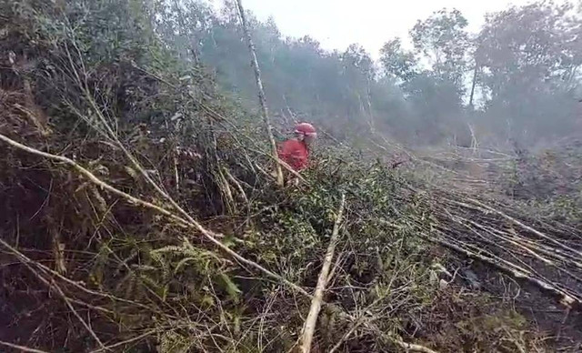 Tim Manggala Agni tengah berjibaku memadamkan api di Ogan Komering Ilir (OKI), Foto : Dok BPPIKHL