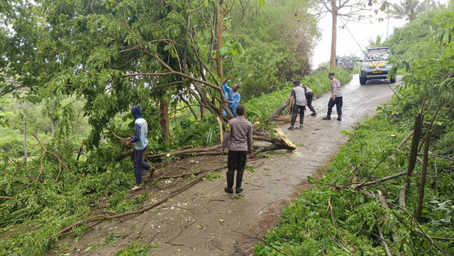 Cepat Tanggap Polsek Sendang Bersama Warga Evakuasi Pohon Tumbang 