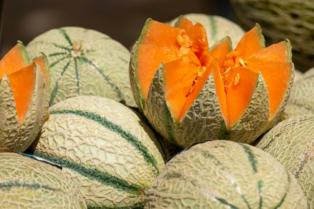 Ilustrasi Jarak tanam melon greenhouse untuk produkvitas optimal.Unsplash/Alexandra Smielova