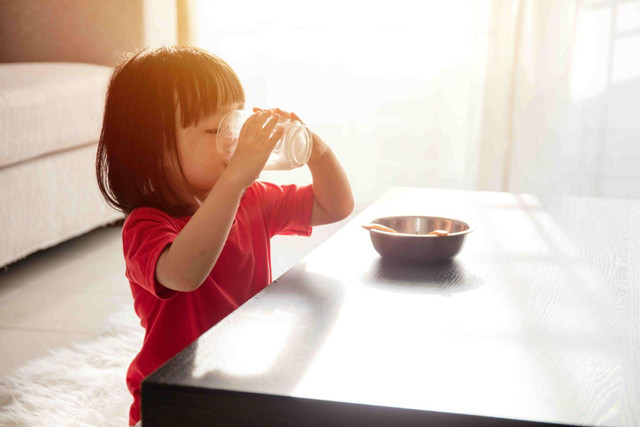 Ilustrasi anak sarapan bergizi lengkap. Foto: Shutterstock