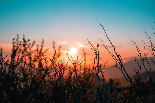 Wisata Sunrise Hill Gedong Songo Bandungan. Foto hanya ilustrasi, bukan tempat sebenarnya. Sumber: unsplash.com/OC Gonzalez.