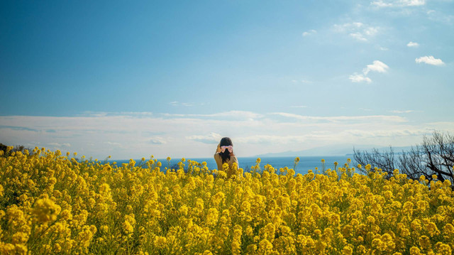 Wisata Alam Legok Madu Bandungan. Foto hanya ilustrasi, bukan tempat sebenarnya. Sumber: unsplash.com/Nguyen TP Hai.