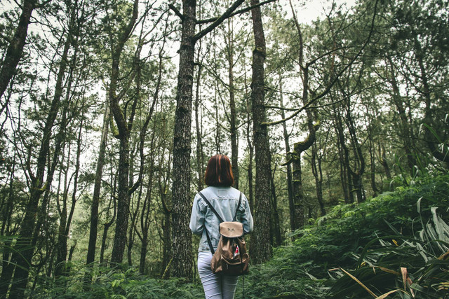 Wisata Alam Lembah Ken Arok. Foto Hanya Ilustrasi, Bukan Tempat Sebenarnya. Sumber Unsplash IB Wira Dyatmika