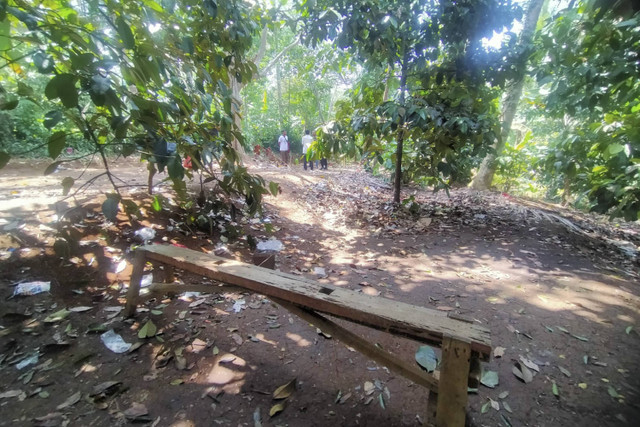 Kebun Manggis yang sering dijadikan Gunawan 'SadBor' untuk live TikTok.  Foto: Dok. Istimewa