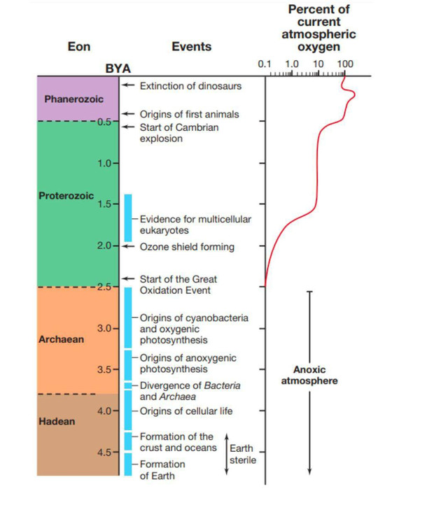 Gambaran umum evolusi biologi, perubahan geokimia Bumi, dan diversifikasi metabolik mikrob (Madigan et al. 2020)