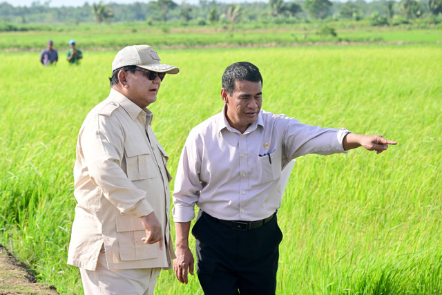 Presiden Prabowo Subianto (kanan) didampingi Menteri Pertanian Andi Amran Sulaiman (kiri) berbincang saat meninjau lahan pertanian di Desa Telaga Sari, Distrik Kurik, Kabupaten Merauke, Papua Selatan, Minggu (3/11/2024). Foto: Rusman/Biro Pers Sekretariat Presiden