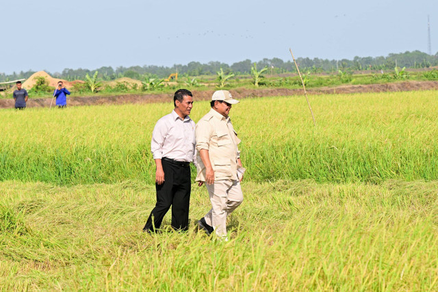 Presiden Prabowo Subianto (kanan) didampingi Menteri Pertanian Andi Amran Sulaiman (kiri) berbincang saat meninjau lahan pertanian di Desa Telaga Sari, Distrik Kurik, Kabupaten Merauke, Papua Selatan, Minggu (3/11/2024). Foto: Rusman/Biro Pers Sekretariat Presiden