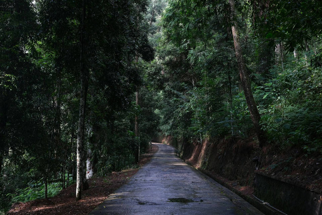 Sendang Kaliancar. Foto hanya ilustrasi, bukan tempat sebenarnya. Foto: dok. Unsplash/livy Sast