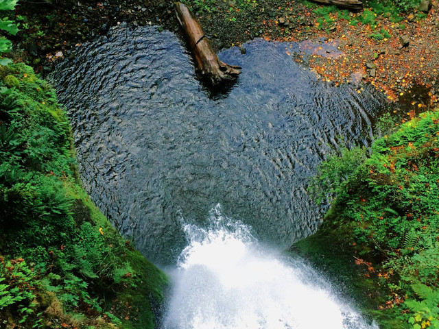 Coban Wiyurejo Pujon. Foto hanya ilustrasi bukan tempat/gambar sebenarnya. Sumber foto: Unsplash/Melissa Askew