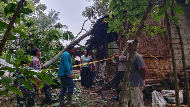 Polsek Sendang dan Pagerwojo Datangi Pohon Tumbang Yang Menimpa Rumah Warga