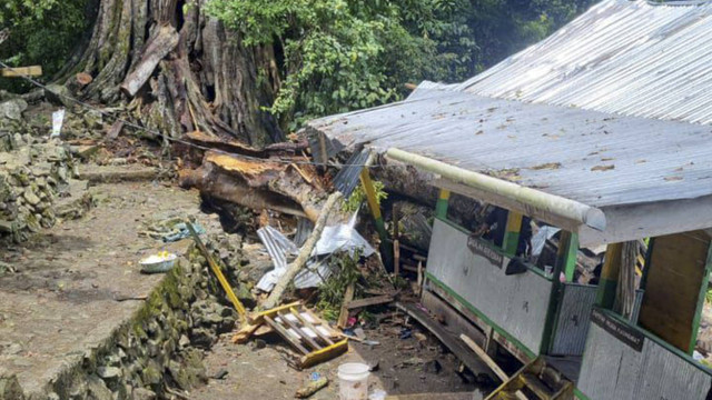 Sebanyak sembilan orang wisatawan tewas tertimpa pohon saat mengunji Situs Petta Bulue Desa Mattabulu. Foto: Dok. Istimewa