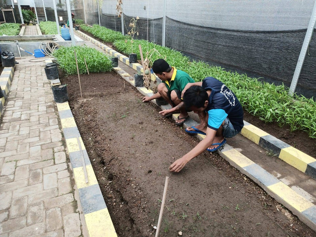 Jaga Perkembangan Tanaman, Bimker Lapas Klaten Lakukan Perawatan