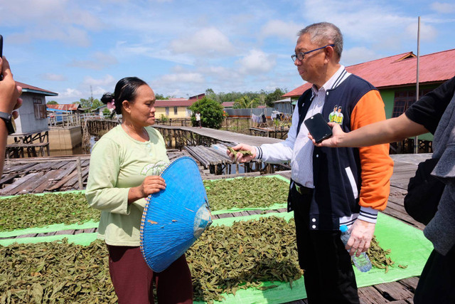 Cagub Kalbar nomor urut 1, Sutarmidji berbincang dengan masyarakat petani daun kratom di Desa Jongkong Kiri Hilir, Kecamatan Jongkong, Kabupaten Kapuas Hulu Dok. Tim Medi Midji-Didi