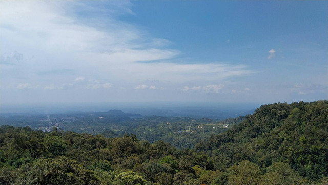 Bukit Diponegoro Hillside Park. Foto hanya ilustrasi, bukan tempat sebenarnya. Sumber: Unsplash/edwin petrus