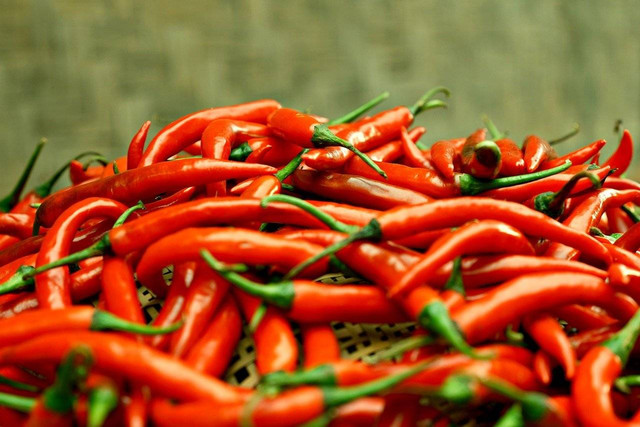 Ilustrasi penyebab bibit cabe layu, Foto: Pixabay/ignartonosbg