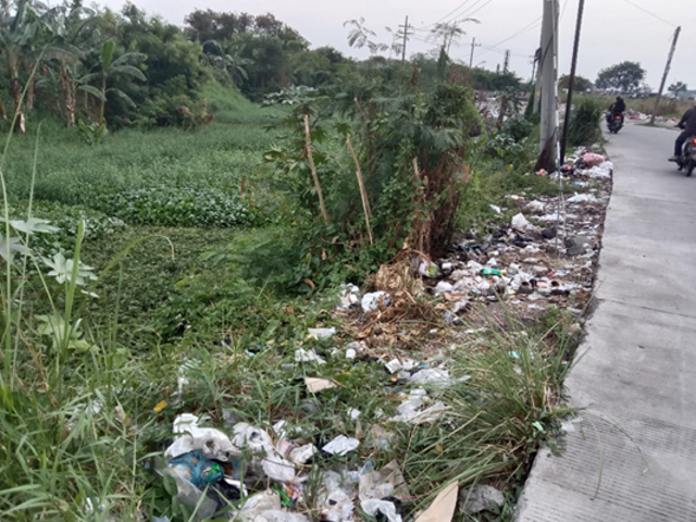 Kondisi Lingkungan daerah Tambak Sumur, Sidoarjo. Foto: Afif Rasendriya/GALERI