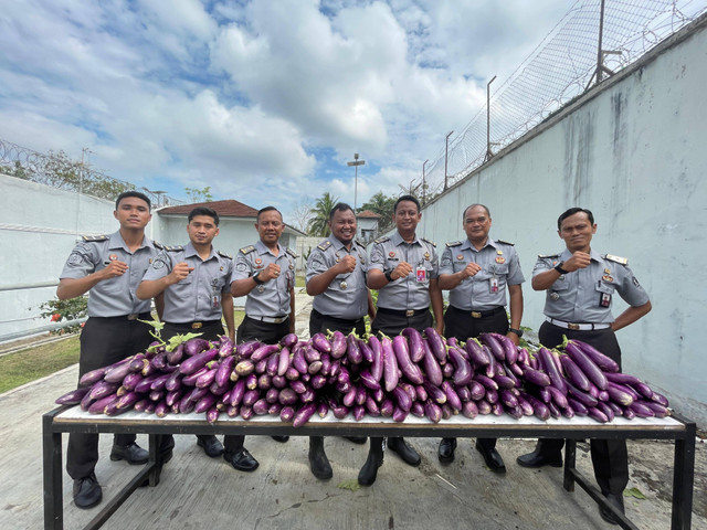 Panen Terong, Wujud Lapas Besi Dukung Program Ketahanan Pangan Nasional