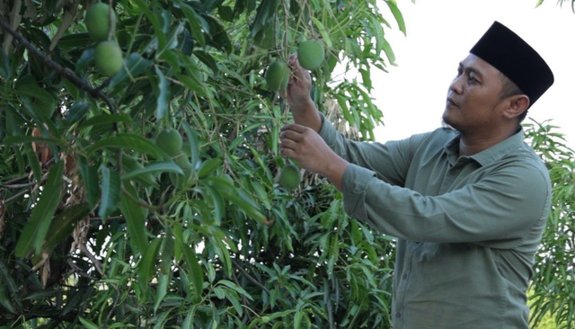 Hendrik Nurwanto sebagai anggota Koperasi Makmur Mandiri yang berhasil mengembangkan konsep hilirisasi mangga gedung gincu menjadi beberapa varian. Foto: Dok. LPDB-KUMKM