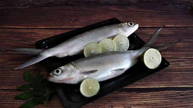 Ikan bandeng segar. Foto: Shutterstock