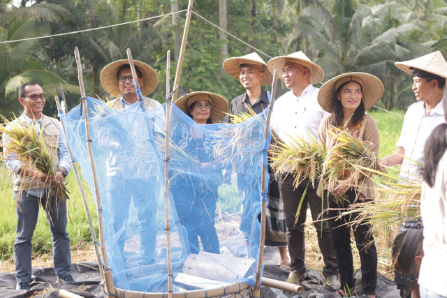 Suasana Festival Akhir Tahun Desa Energi Berdikari Keliki - IST