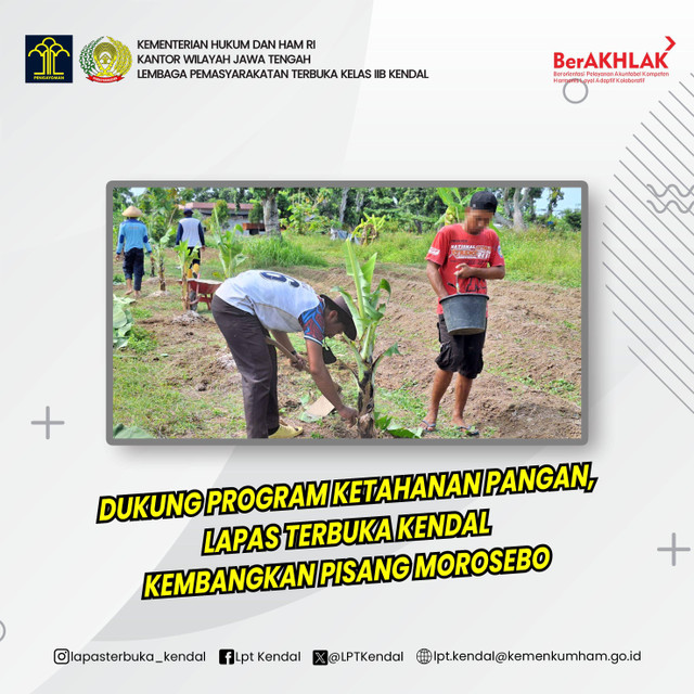 Lapas Terbuka Kendal Dukung Program Ketahanan Pangan Dengan Tanam Pisang Morosebo