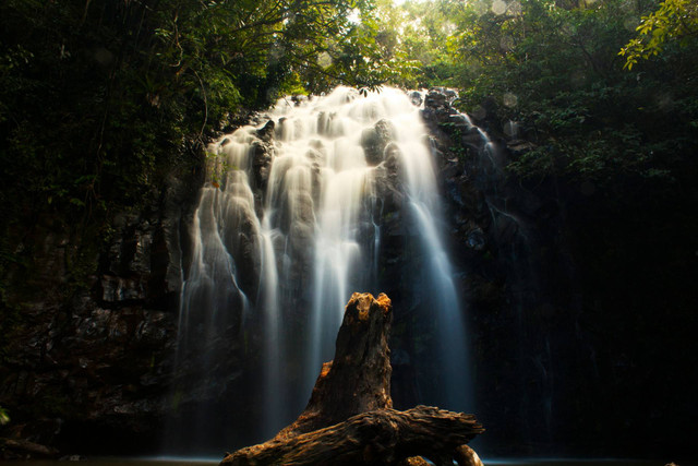 Air Terjun Jumog. Foto hanya ilustrasi, bukan tempat sebenarnya. Foto: dok. Unsplash/Nicholas Teoh