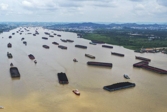 Sejumlah kapal tongkang bermuatan batu bara melintas perairan Sungai Mahakam di Samarinda, Kalimantan Timur, Rabu (6/11/2024). Foto: M Risyal Hidayat/ANTARA FOTO