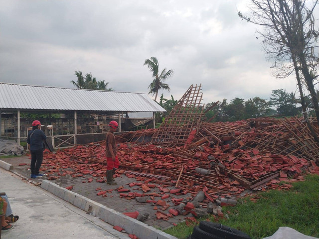 Hujan dan angin kencang sebabkan joglo roboh hingga pohon tumbang di Kabupaten Sleman.  Foto: Dok. BPBD Sleman