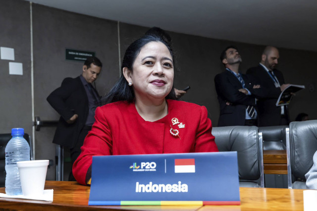 Ketua DPR Puan Maharani menghadiri forum Parlemen G20 yang diselenggarakan di Brasil. Foto: Dok. Istimewa