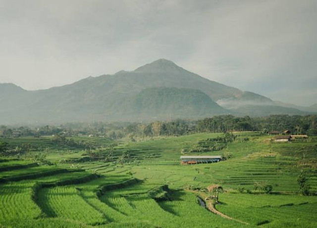 Glamping Estusae Trawas. Foto hanyalah ilustrasi bukan tempat sebenarnya. Sumber: Unsplash/ardito ryan Harrisna