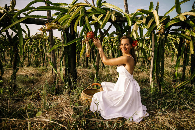 Ilustrasi Kenapa Buah Naga Berbuah Kecil, Foto:Pexels/ROMAN ODINTSOV