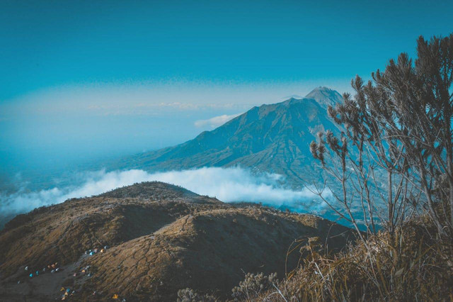 Omah Kembang Merbabu. Foto hanya ilustrasi, bukan tempat sebenarnya. Sumber: Pexels/Bayu Jefri